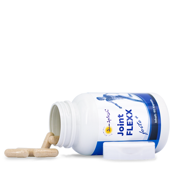 joint FLEXX Forte Plus